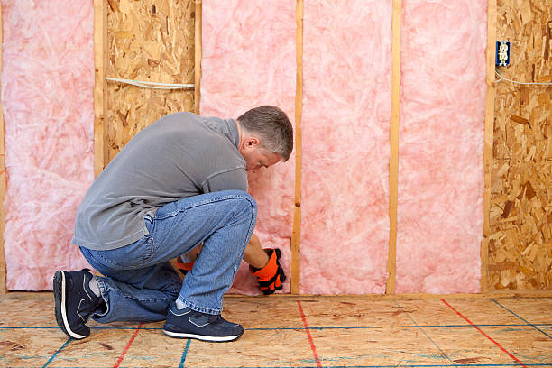 Professional Insulation Contractor in Fruitland, ID