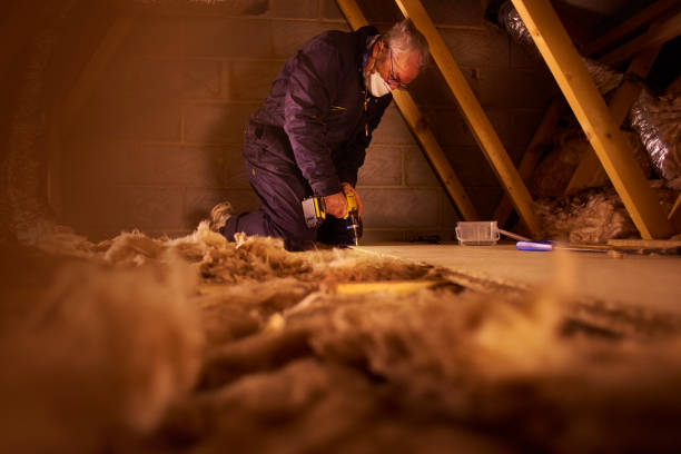 Insulation Replacement Services in Fruitland, ID