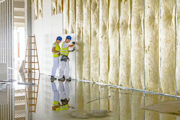 Insulation Repair Services in Fruitland, ID